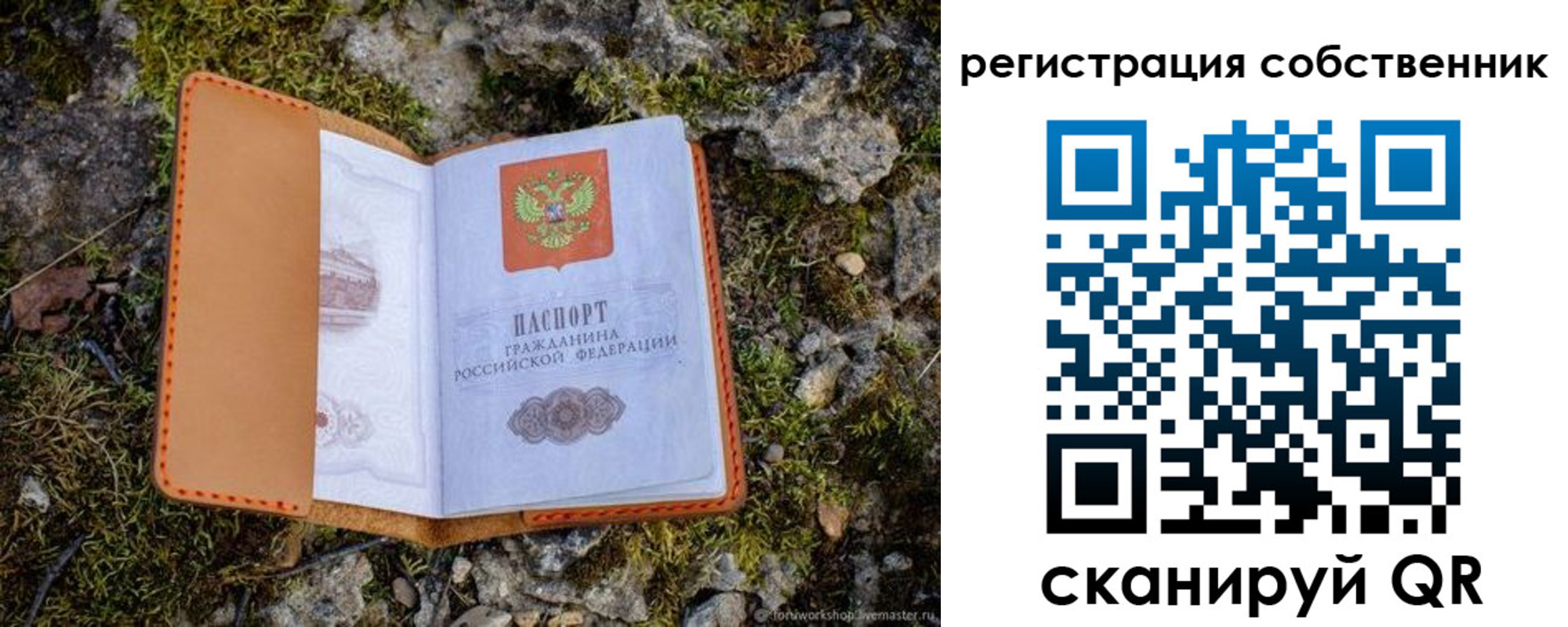 прописка поиск в Галиче